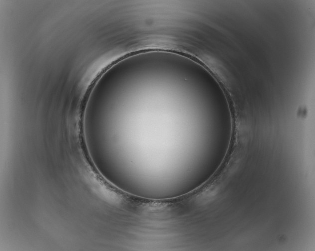 X0000111820846200907231316