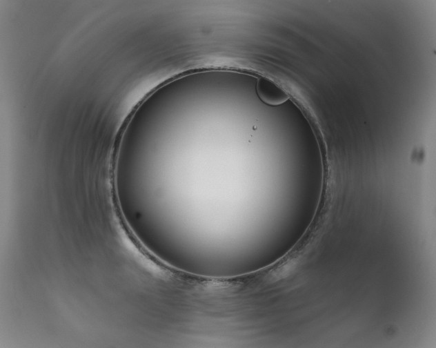 X0000111820847200907231316