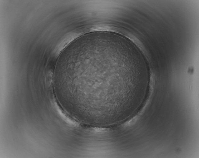 X0000111820849200907231316