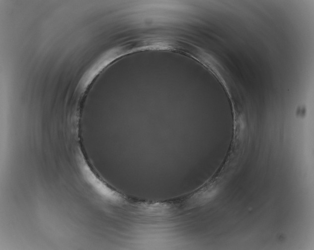 X0000111820851200907231316