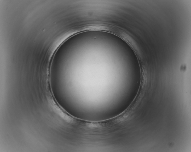 X0000111820852200907231316