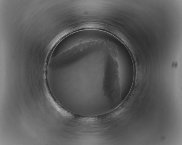 X0000111820853200907231316