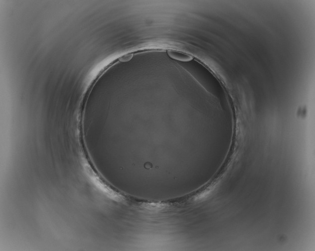 X0000111820854200907231316