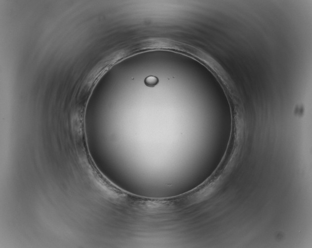 X0000111820857200907231316