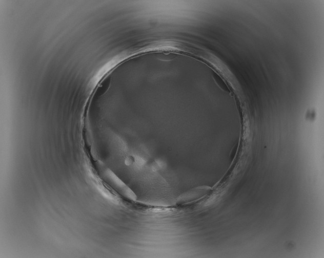 X0000111820858200907231316