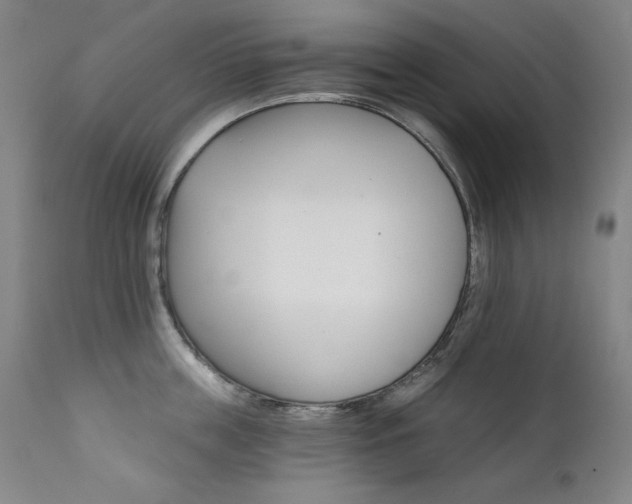 X0000111820859200907231316