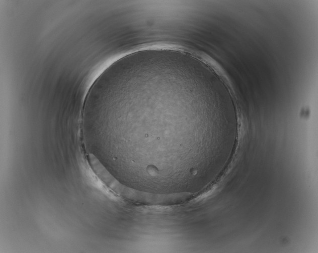 X0000111820860200907231316