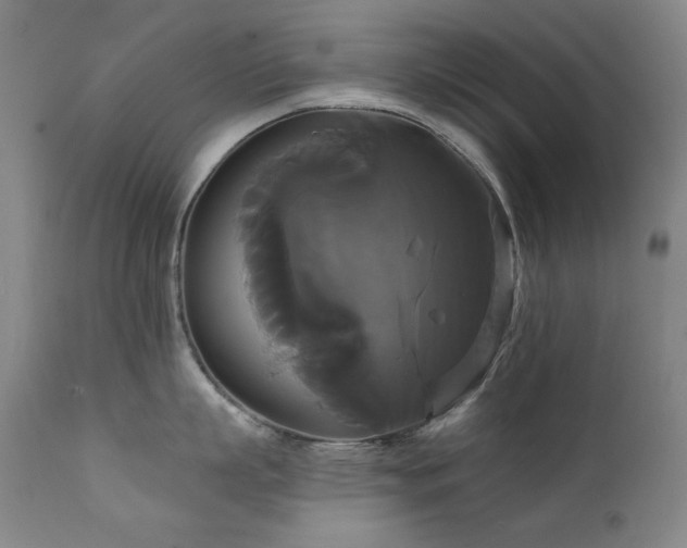 X0000111820863200907231316