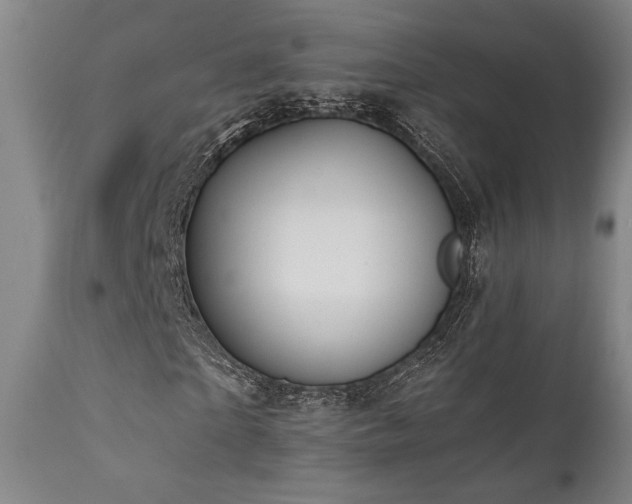 X0000111820865200907231315