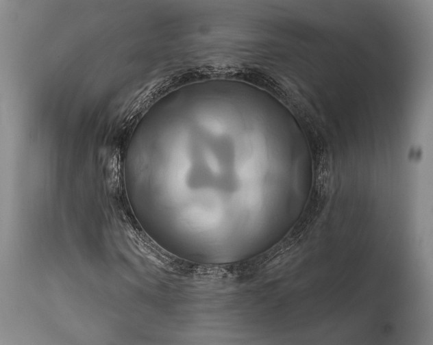 X0000111820866200907231315