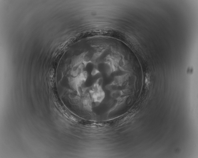X0000111820867200907231315