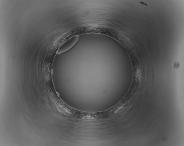 X0000111820868200907231315
