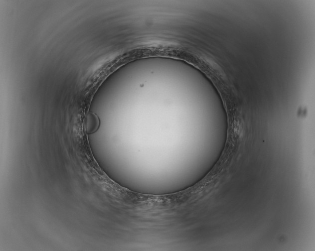 X0000111820869200907231315