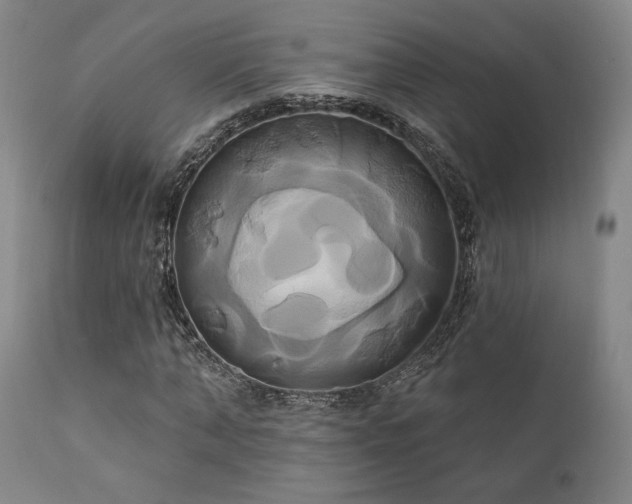X0000111820870200907231315