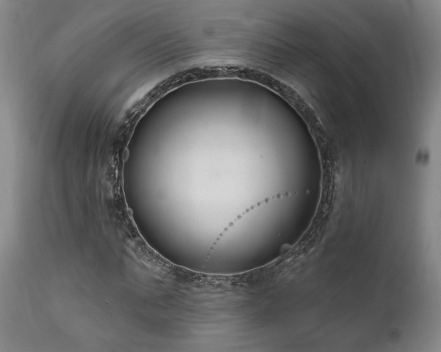 X0000111820871200907231315
