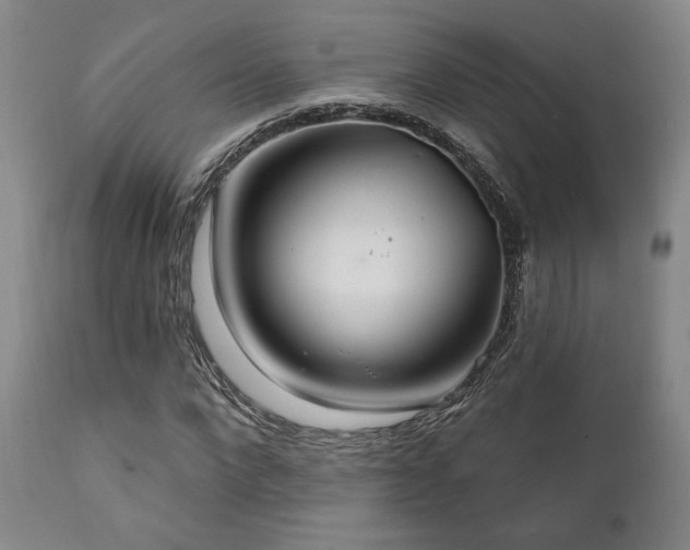X0000111820872200907231315