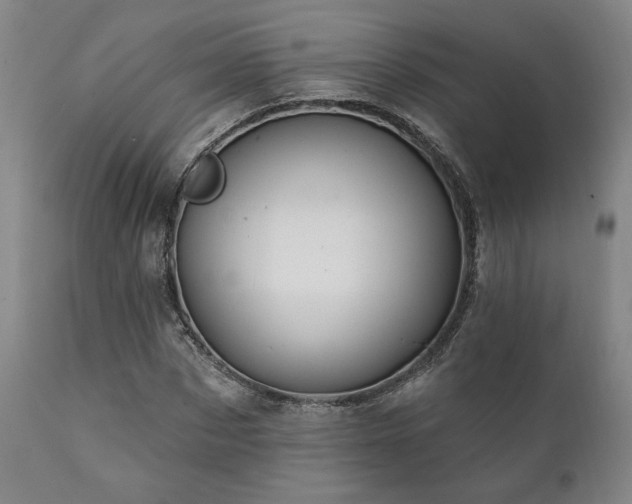 X0000111820873200907231315
