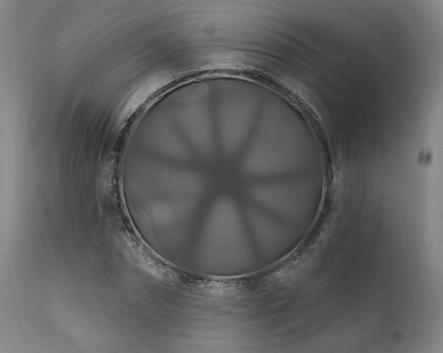 X0000111820874200907231315