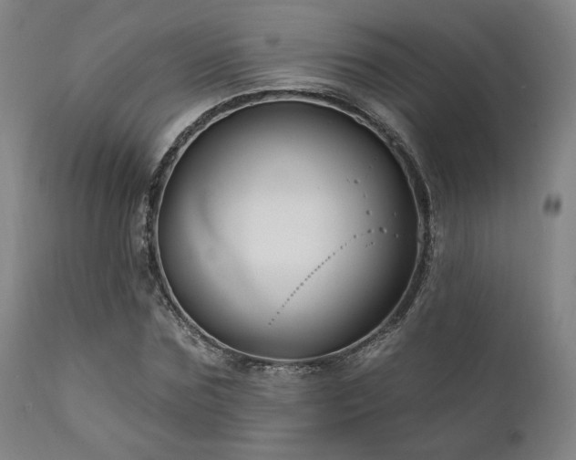 X0000111820875200907231315