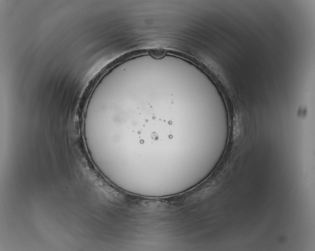 X0000111820876200907231315