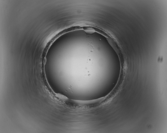 X0000111820877200907231315