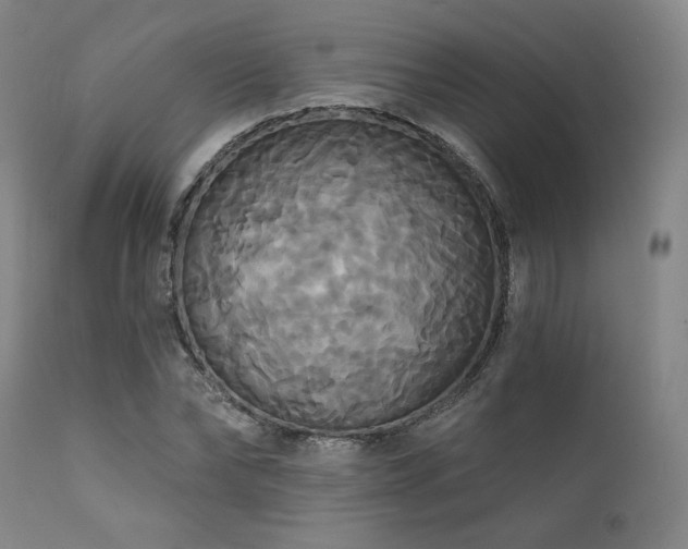 X0000111820878200907231315