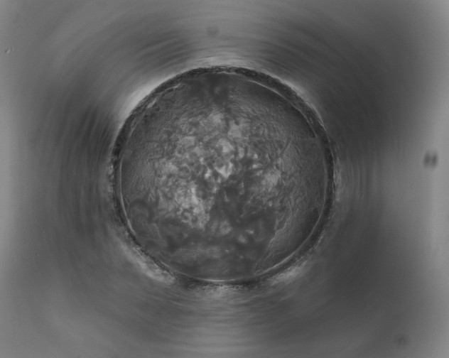 X0000111820879200907231315