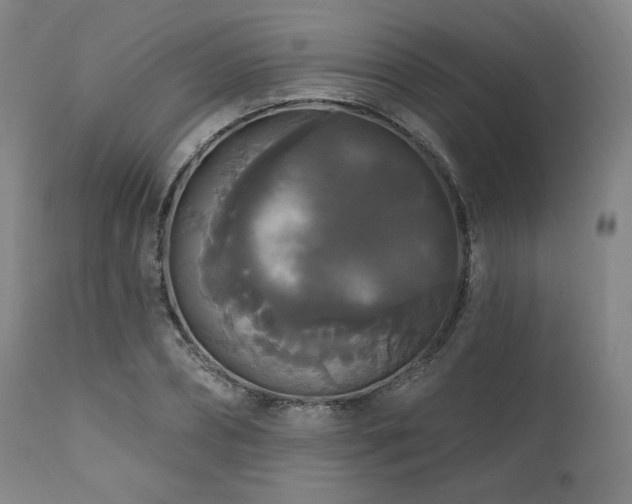 X0000111820882200907231315
