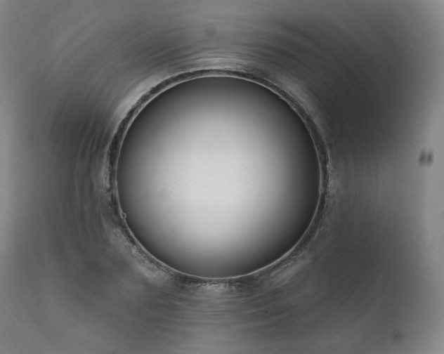 X0000111820883200907231315