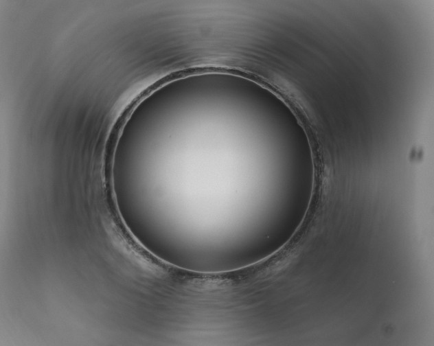 X0000111820884200907231315