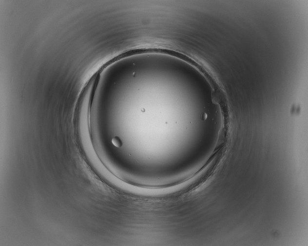 X0000111820885200907231315