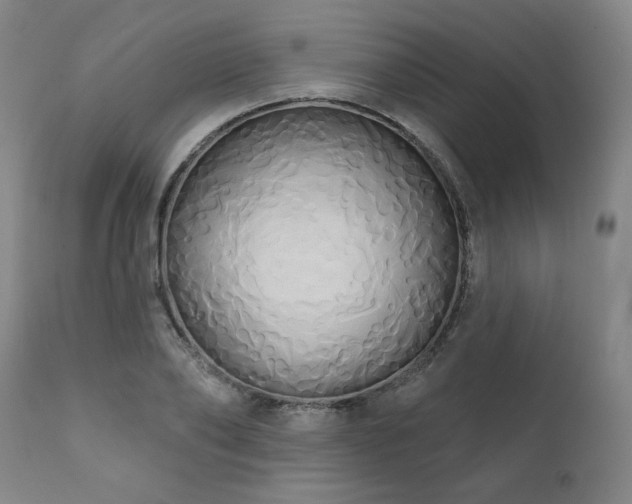 X0000111820886200907231315