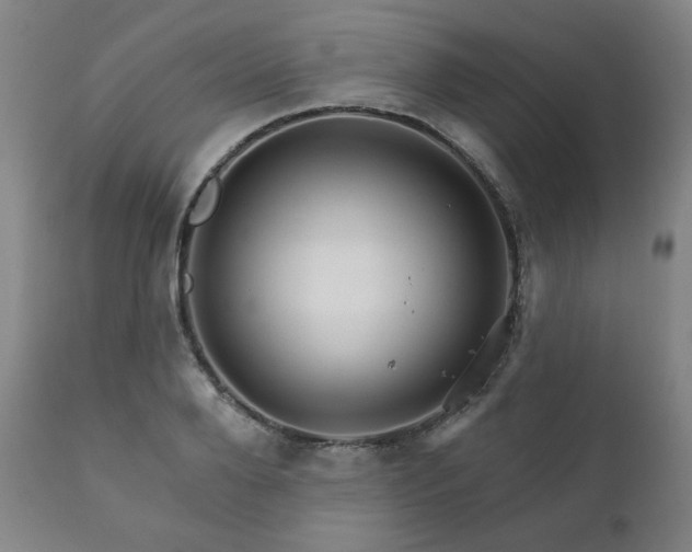 X0000111820888200907231315
