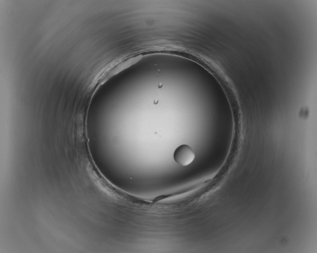 X0000111820889200907231315