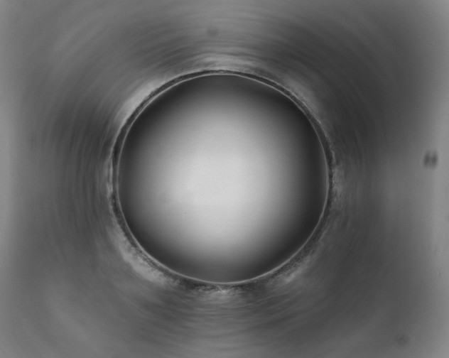 X0000111820891200907231315