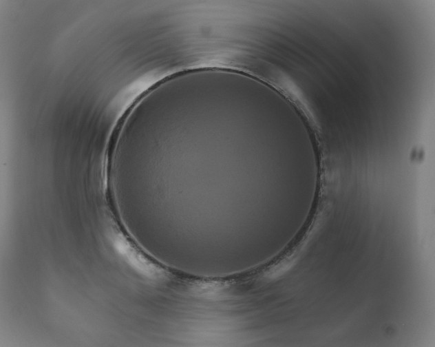 X0000111820892200907231315