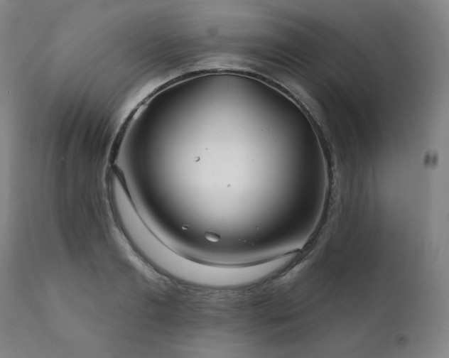 X0000111820893200907231315