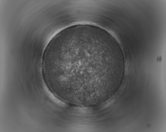 X0000111820895200907231315