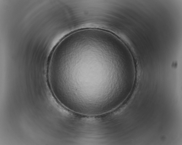 X0000111820896200907231315