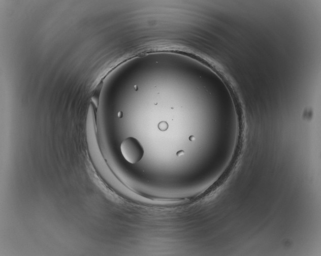 X0000111820897200907231315