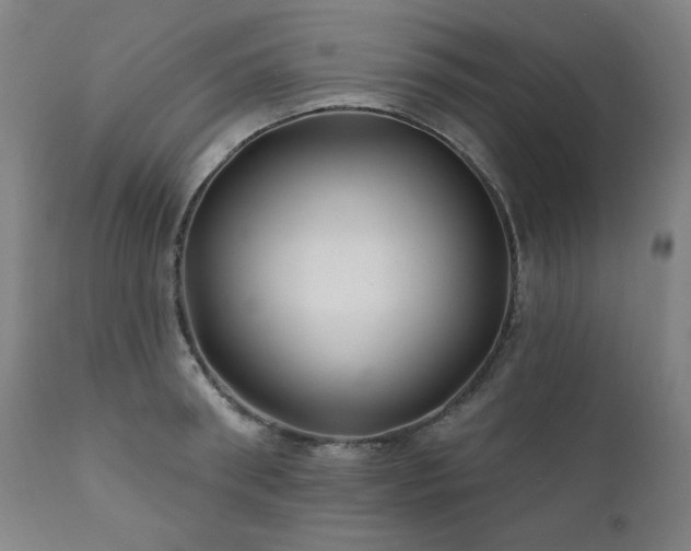 X0000111820898200907231315