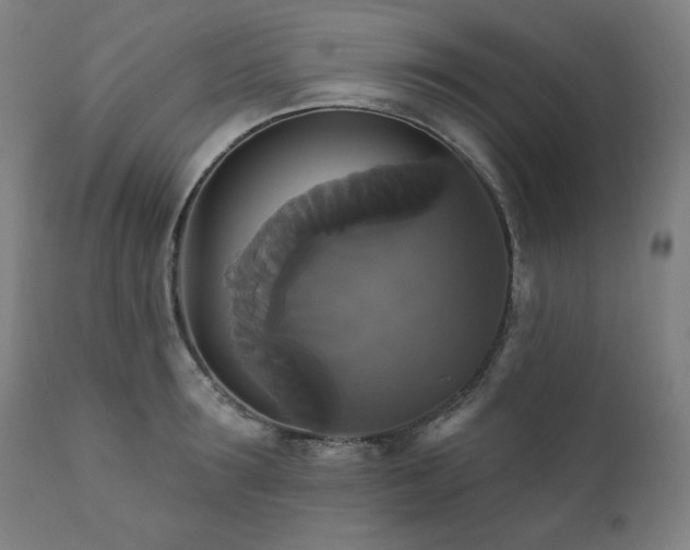 X0000111820899200907231315