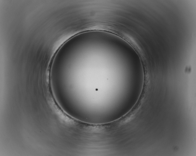X0000111820900200907231315
