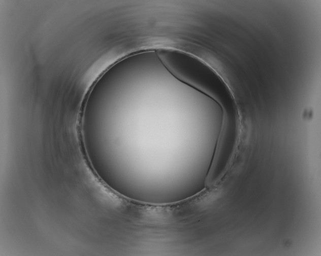 X0000111820901200907231315