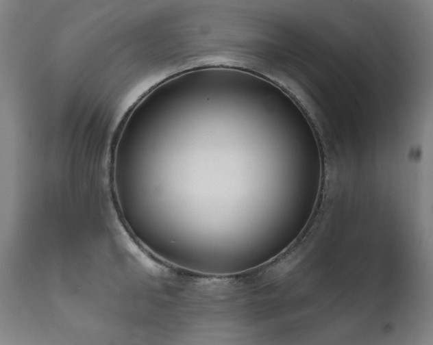 X0000111820902200907231315