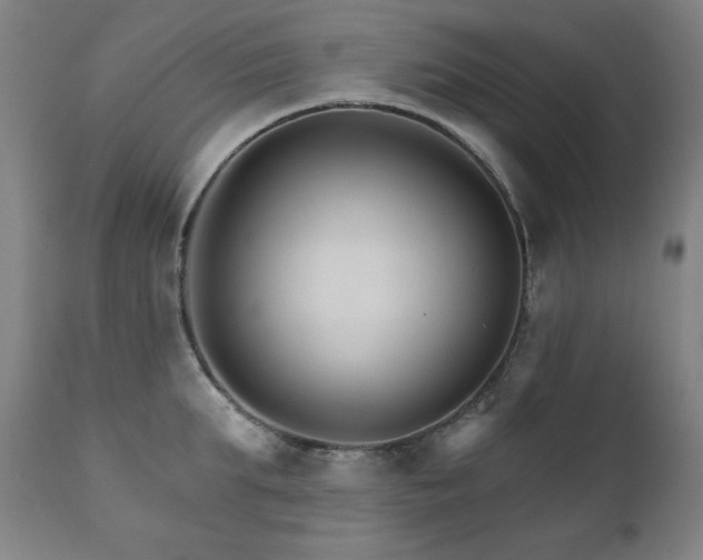 X0000111820903200907231315