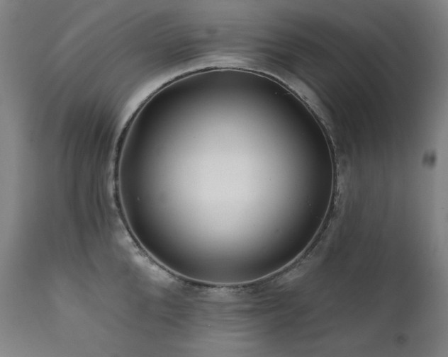 X0000111820904200907231315