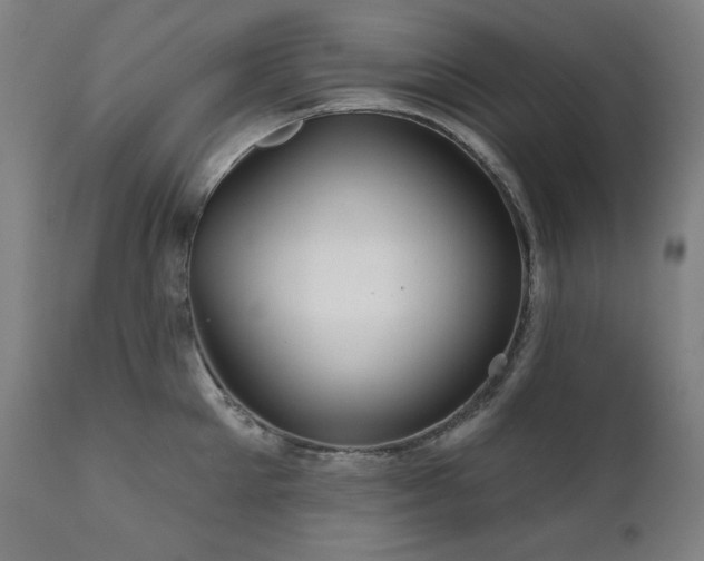 X0000111820905200907231315