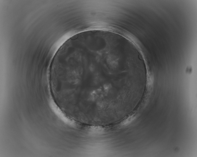 X0000111820907200907231315