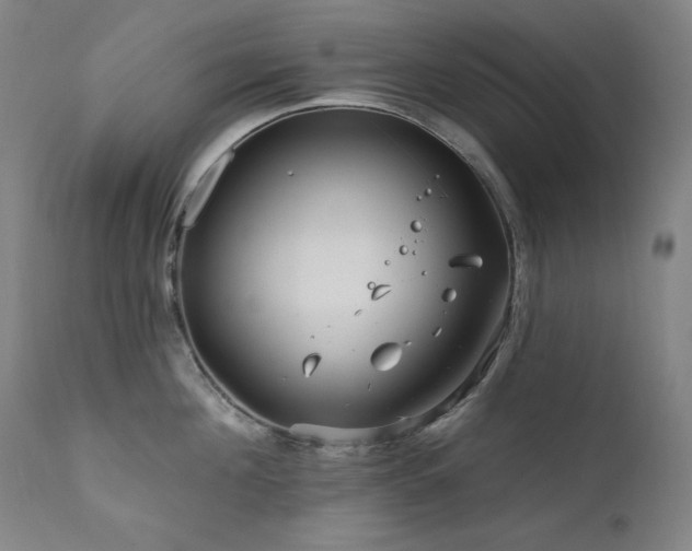 X0000111820908200907231315